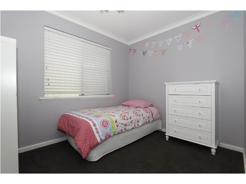 17 Shirley Avenue, Mount Pleasant WA 6153