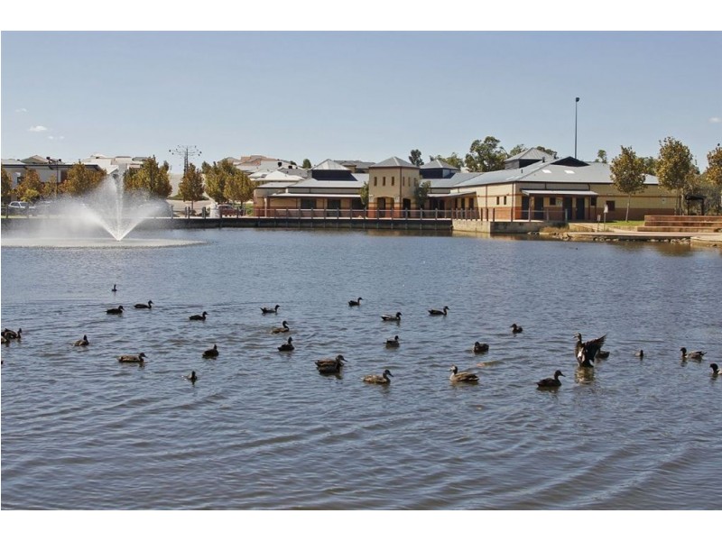 11 Shrike Lane, Beeliar WA 6164