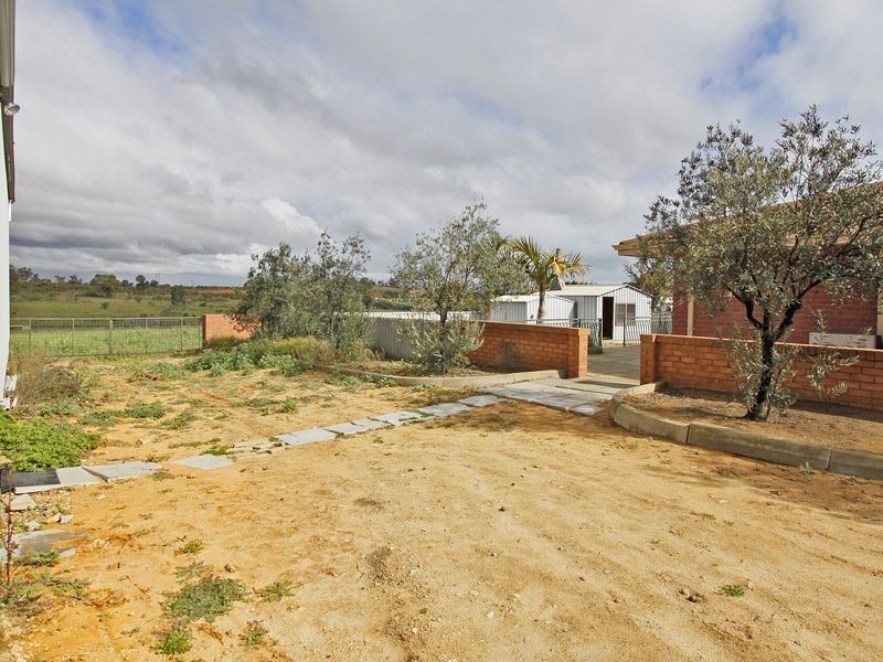 163 Dalison Avenue, Wattleup WA 6166