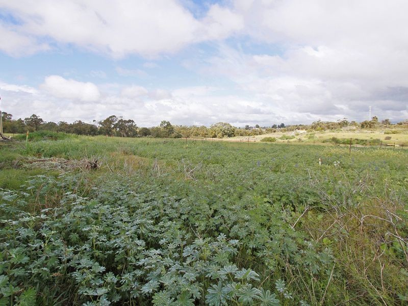 163 Dalison Avenue, Wattleup WA 6166