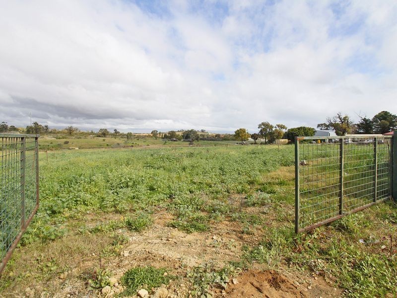 163 Dalison Avenue, Wattleup WA 6166