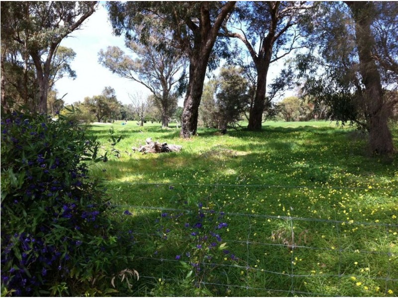 13 Gentle Road, Medina WA 6167