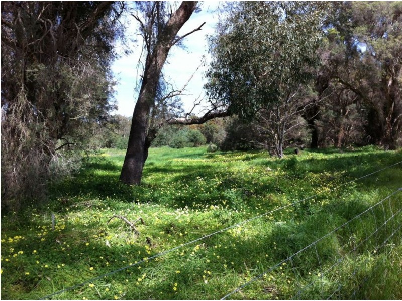 7 Gentle Road, Medina WA 6167