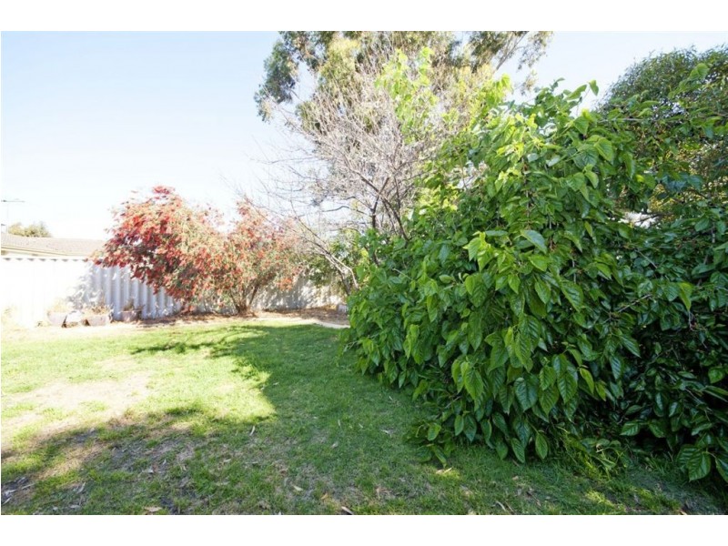4 Barrine Gardens, South Lake WA 6164