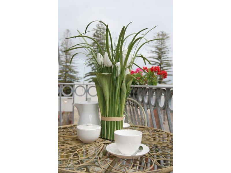 3/17 Essex Street, Fremantle WA 6160