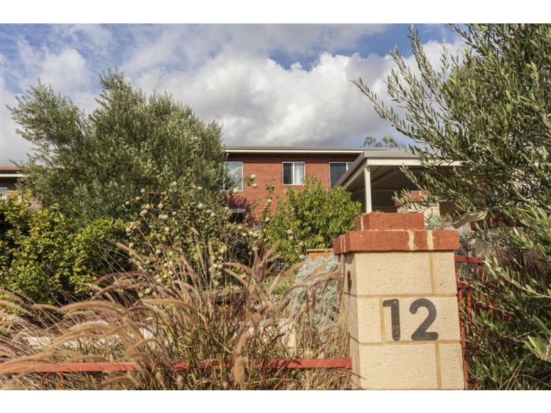 12 Watterton Place, Hamilton Hill WA 6163