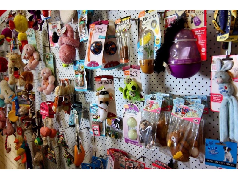 Hamilton Hill WA 6163