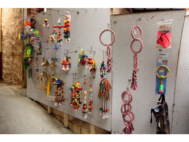 Hamilton Hill WA 6163