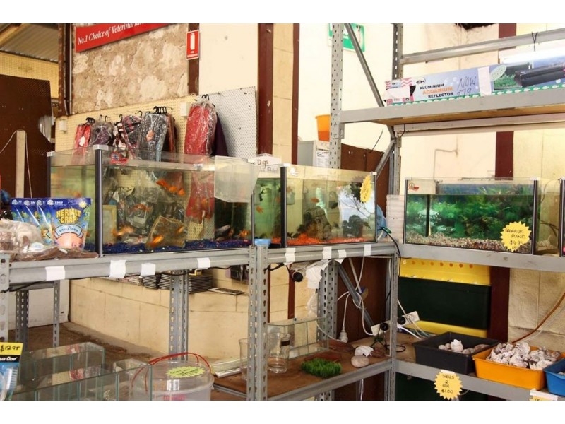 Hamilton Hill WA 6163