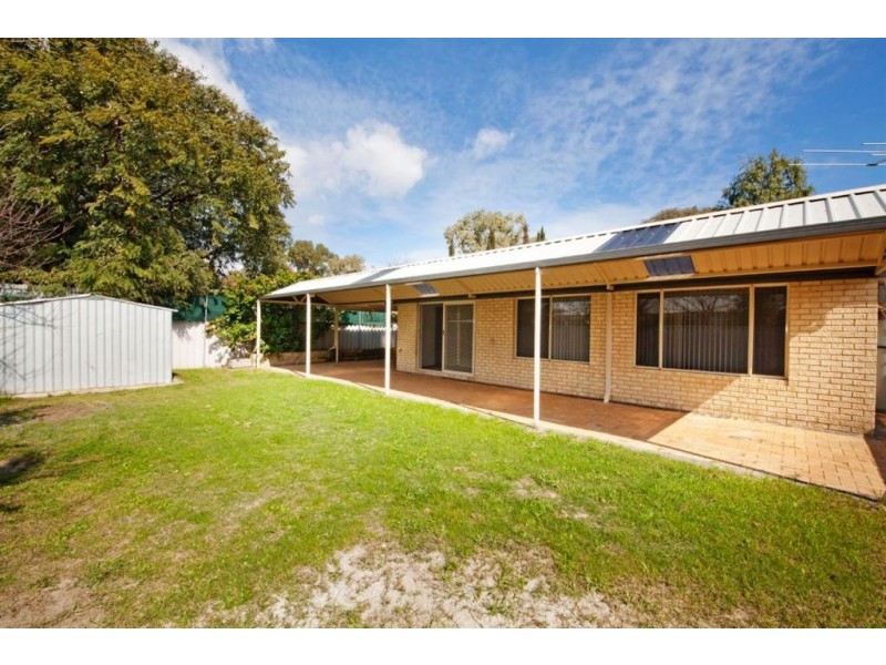 43 Hybanthus Loop, Beeliar WA 6164