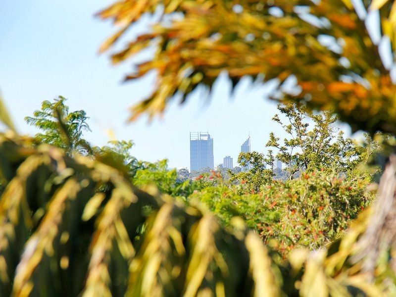 22 Cameron Way, Kardinya WA 6163