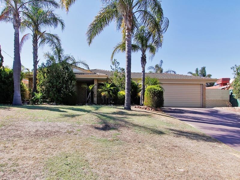 10 Marigold Place, Yangebup WA 6164