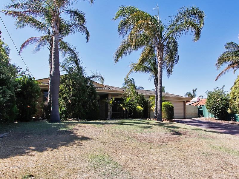 10 Marigold Place, Yangebup WA 6164