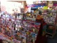 Willetton WA 6155