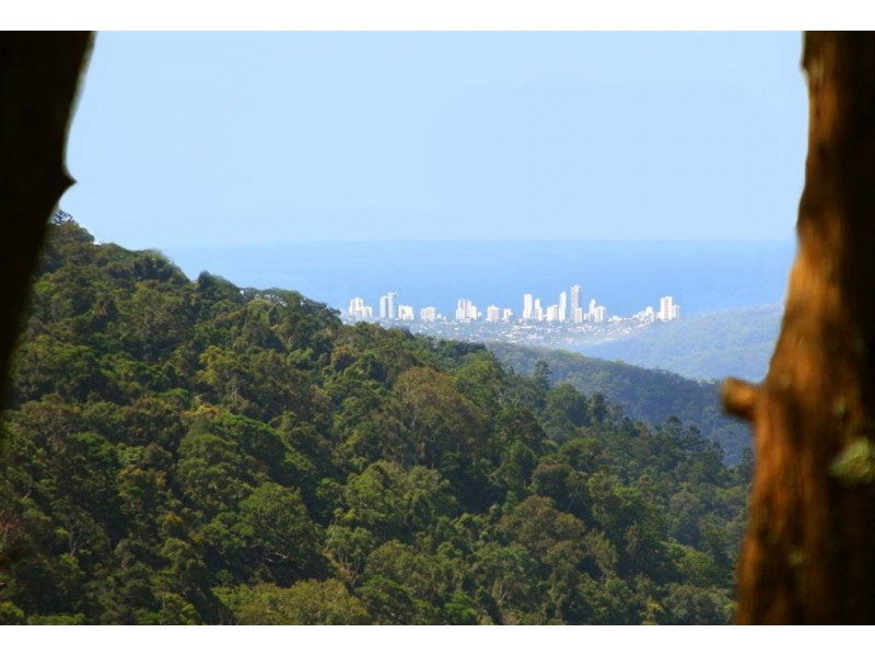 2-4 Willow Court, Beechmont QLD 4211