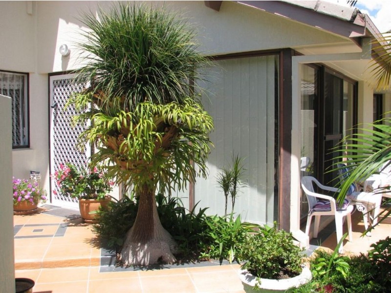 2/22 Vespa Crescent, Surfers Paradise QLD 4217