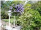 35 Reed Street, Ashmore QLD 4214