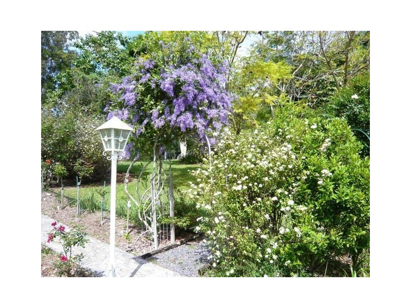 35 Reed Street, Ashmore QLD 4214