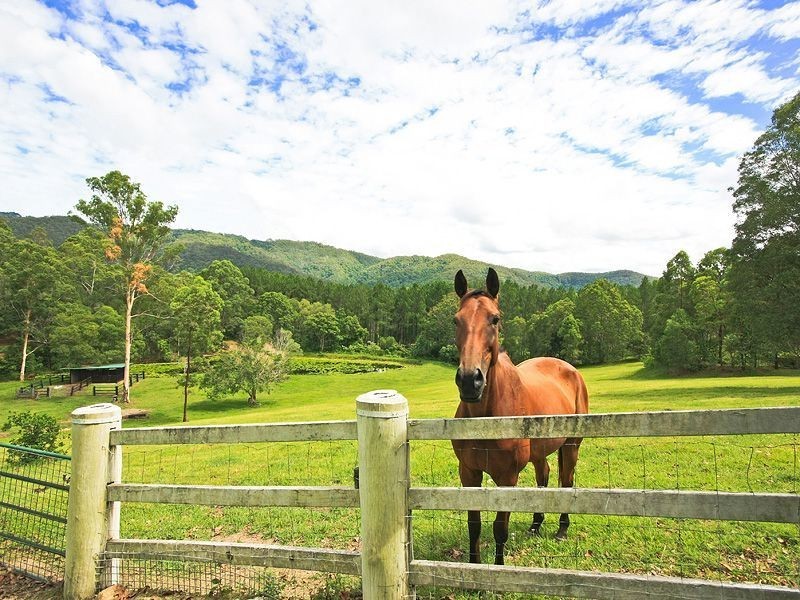 32 Mystery Road, Guanaba QLD 4210