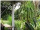 17 Harris Street, Labrador QLD 4215