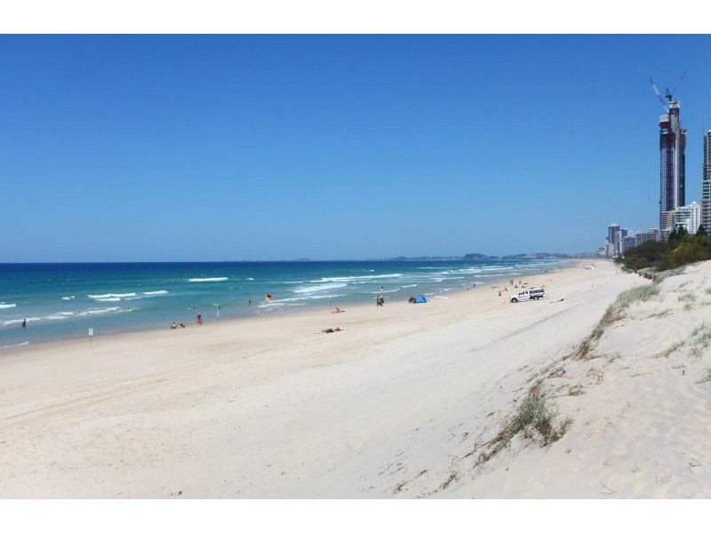 19/38 Enderley Avenue, Surfers Paradise QLD 4217