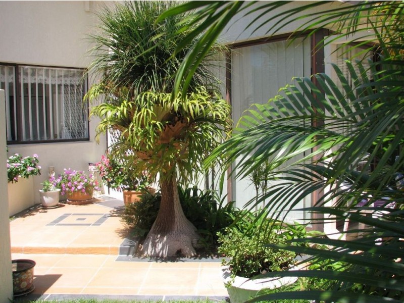 2/22 Vespa Crescent, Surfers Paradise QLD 4217