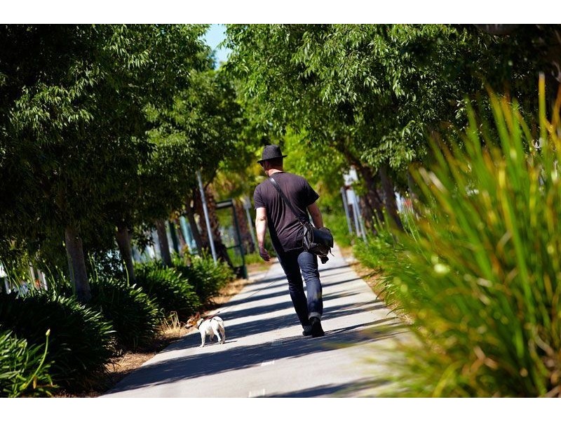 7/20 Kemp Street, Thornbury VIC 3071