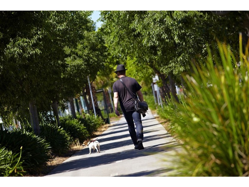 9/8 Kemp Street, Thornbury VIC 3071