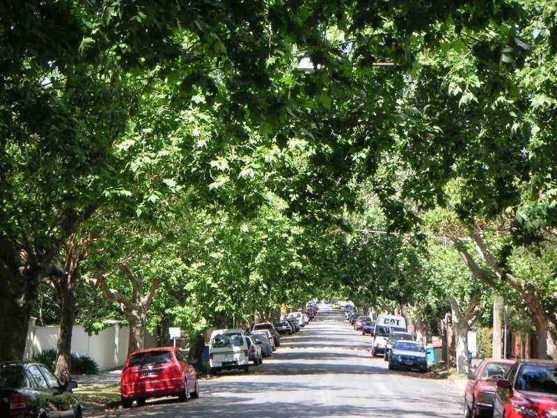 4/17 Auburn Grove, Hawthorn East VIC 3123