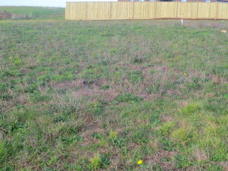 99 Jackson Drive, Drouin VIC 3818