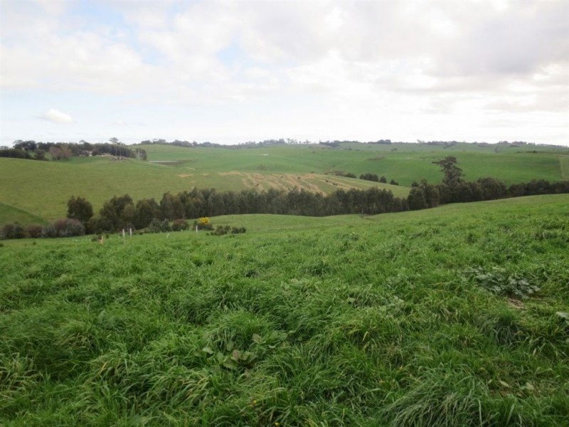 Lot 3 Betula Drive, Poowong VIC 3988