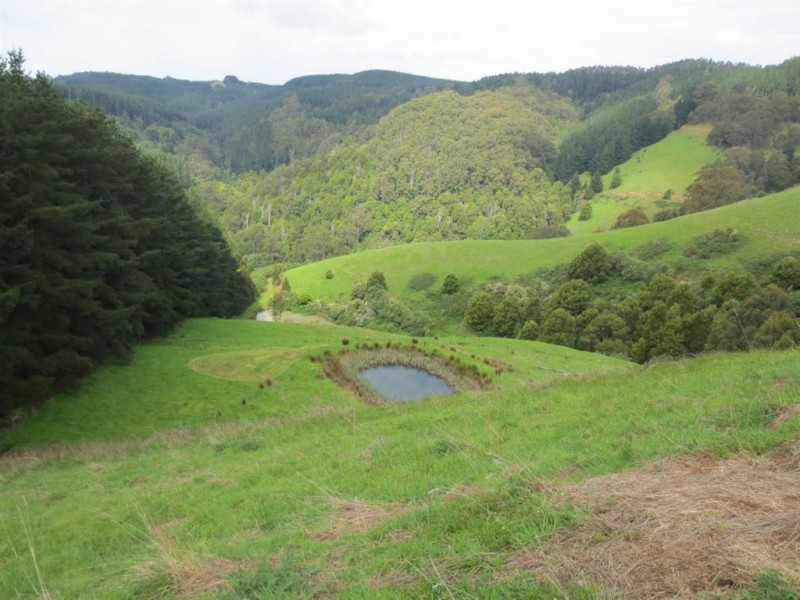 1201 Darnum Allambee Road, Warragul VIC 3820