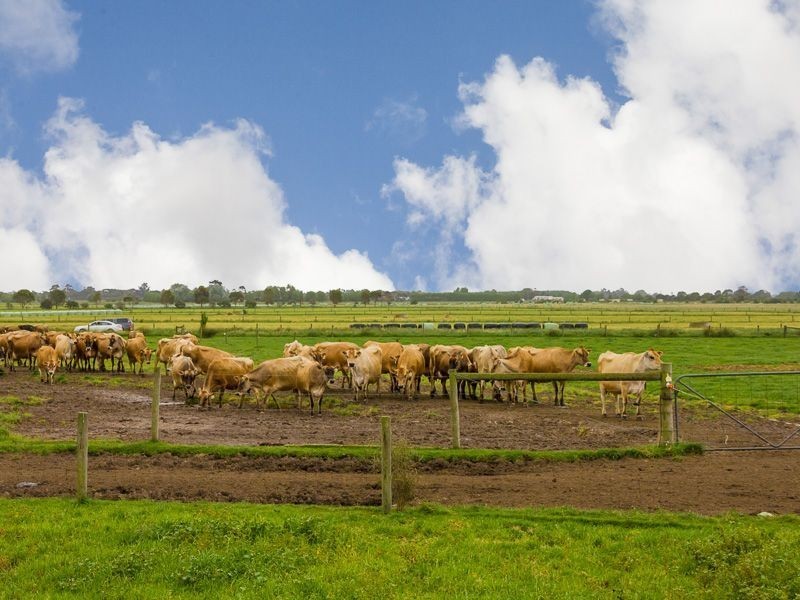 100 Forrest Road, Yannathan VIC 3981