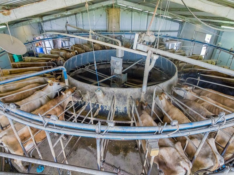 100 Forrest Road, Yannathan VIC 3981