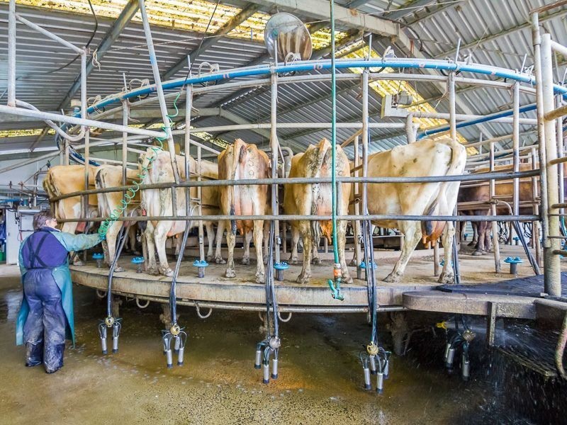 100 Forrest Road, Yannathan VIC 3981