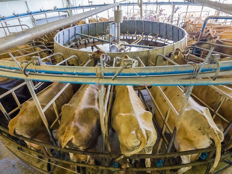 100 Forrest Road, Yannathan VIC 3981