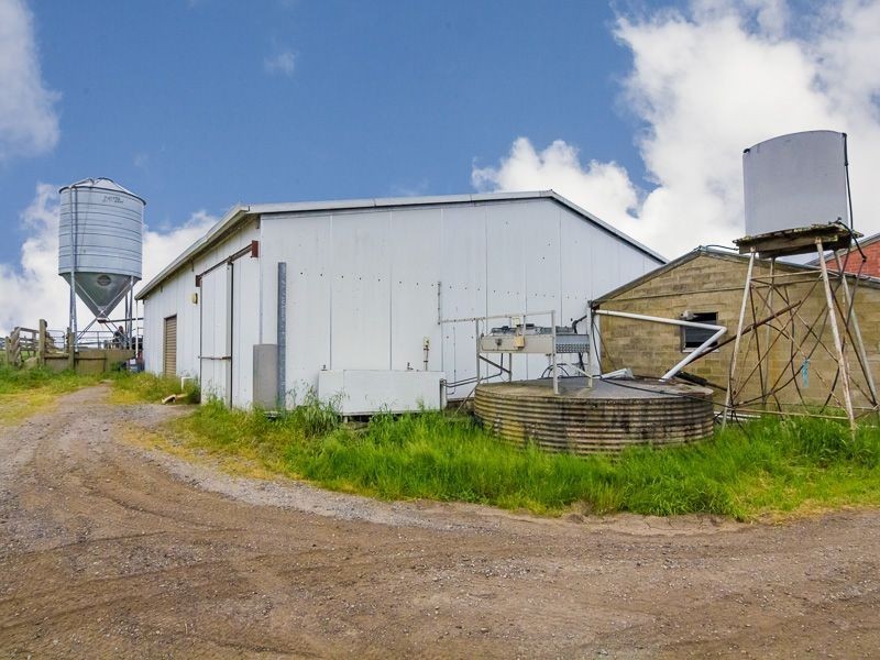 100 Forrest Road, Yannathan VIC 3981