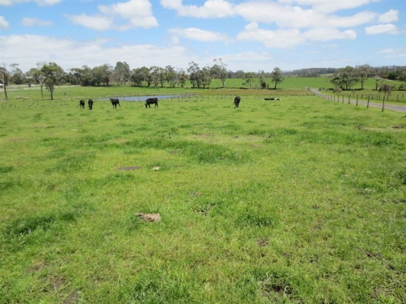 1045 Mt Lyall Road, Nyora VIC 3987