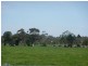Lot 1 Wally Road, Bunyip VIC 3815