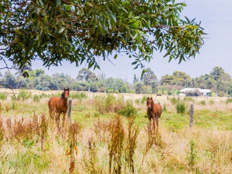 530 Lone Pine Road, Garfield VIC 3814