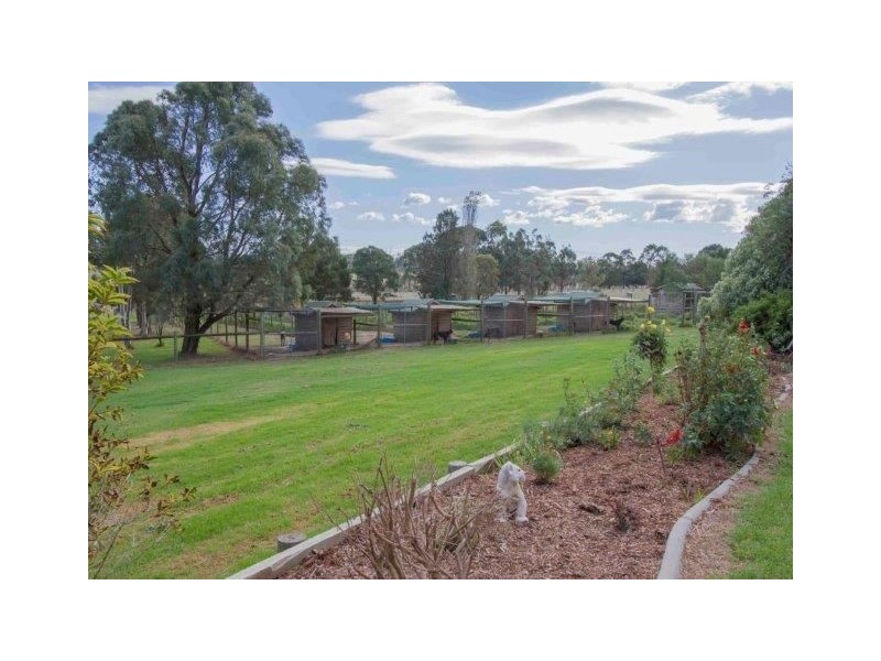 38 Thompson Road, Drouin South VIC 3818