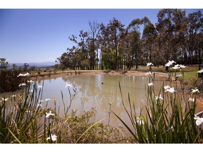 2645 Westernport Road, Ripplebrook VIC 3818