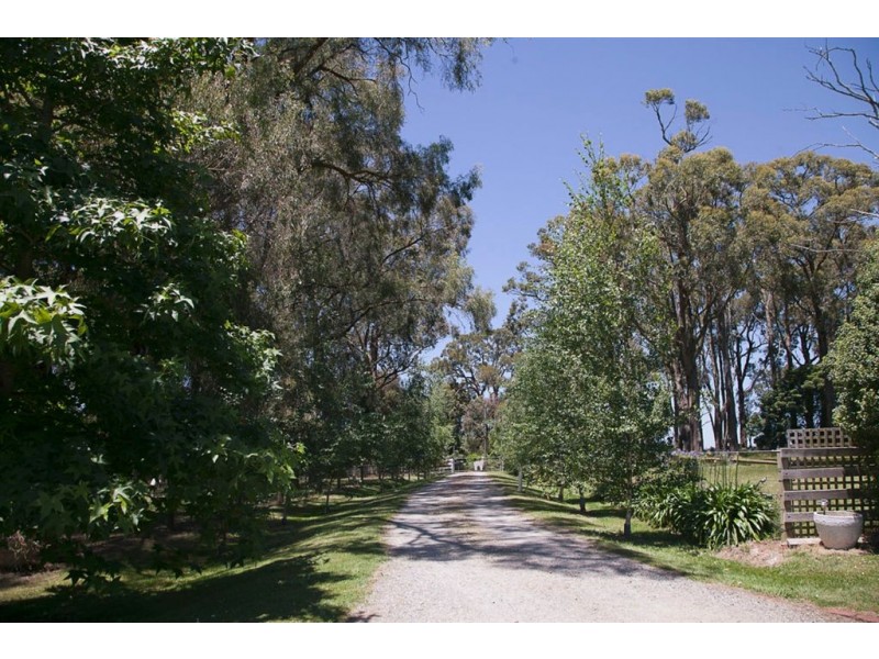 2645 Westernport Road, Ripplebrook VIC 3818