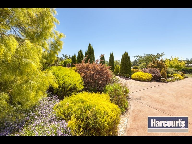 21 Robin Hood Way, Drouin VIC 3818