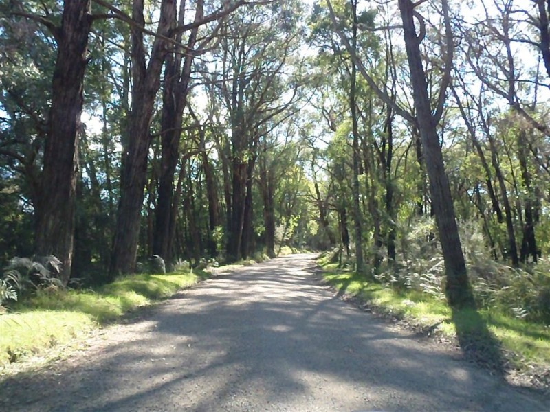 1705 Tonimbuk Road, Tonimbuk VIC 3815