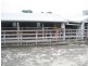 217 Fraser Spur Road, Neerim East VIC 3831