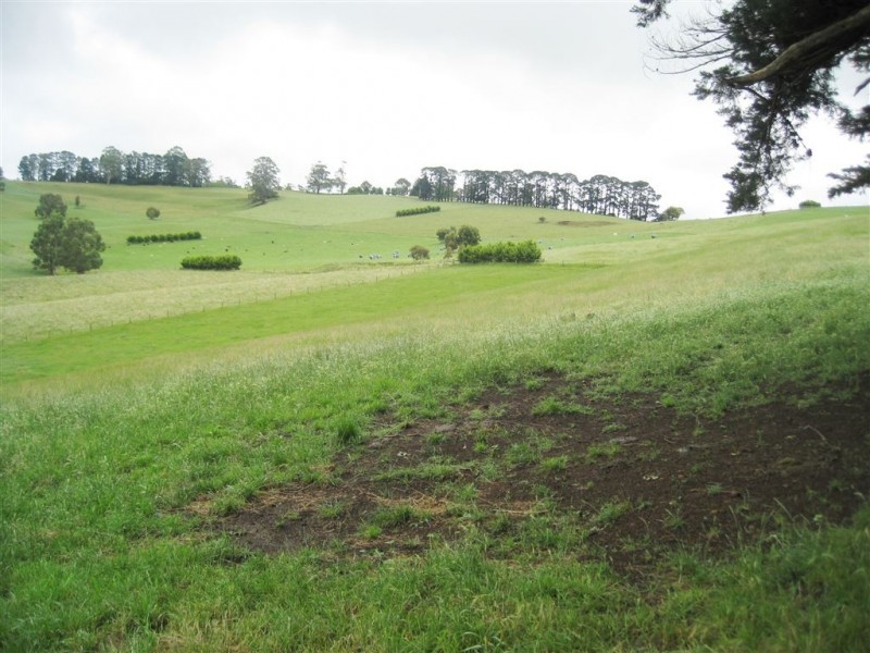 217 Fraser Spur Road, Neerim East VIC 3831