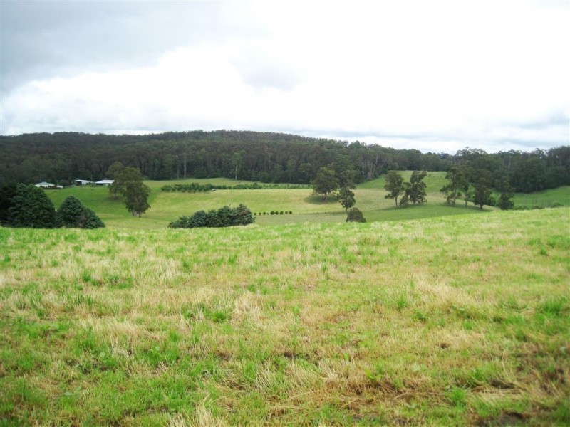 217 Fraser Spur Road, Neerim East VIC 3831
