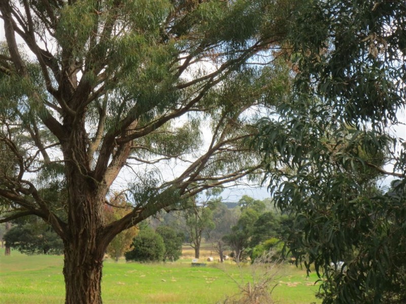 27 Fairway Drive, Drouin VIC 3818