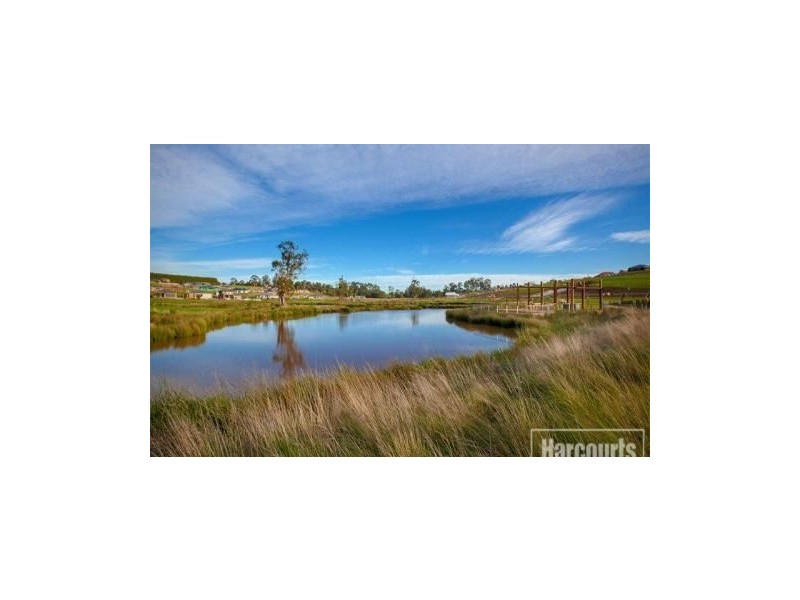 95 Jackson Drive, Drouin VIC 3818